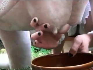 Anna The Miking Cow by Cezar73