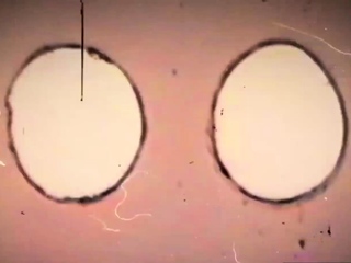 Badass babes education in a military camp