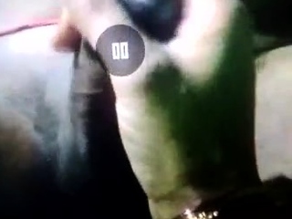 My Desi indian Wife Handal significant cock