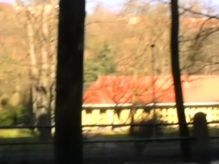 Beautiful youthful pornstar provides pov oral sex and fucks