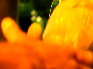 Blonde Stripper babe in Hardcore Fucking Exciting