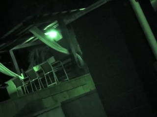 Fitness center rats orgy Hide And Go Freak