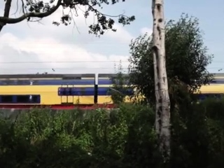 Old man gets blowjob Vanda picked up and ravaged outdoors