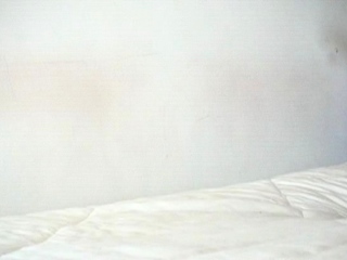 Brunette slut pov blowjob in close up HD