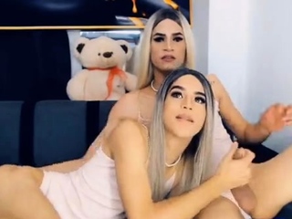 Sizzling Horny Shemale Delight in Their Dick