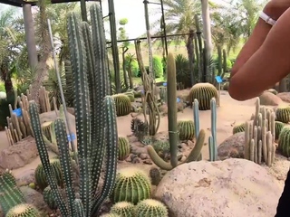 Skinny redhead amateur Thai teen fucked