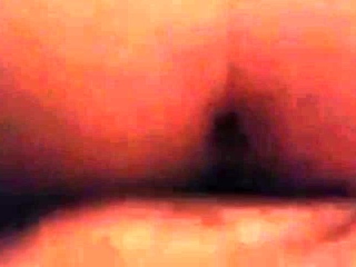 3way with a Texas bear