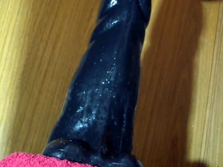 Anal madness – ep. 2