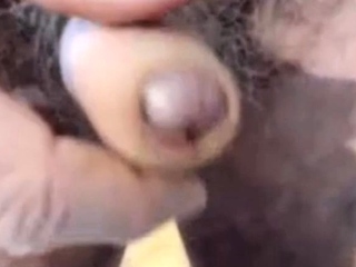 Dad displaying uncut cock on cam for the very first time