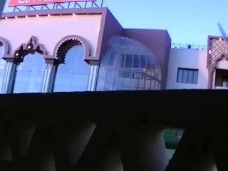 Kinky gal Leony Aprill adores erected python