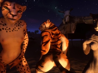 Big Cock Enjoys Blowjob And Hardcore Ride