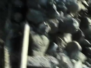 They ditch the celebration for outside intercourse