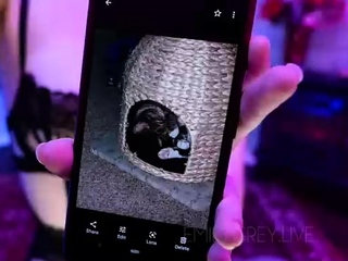 Amateur webcam babe dildo masturbation