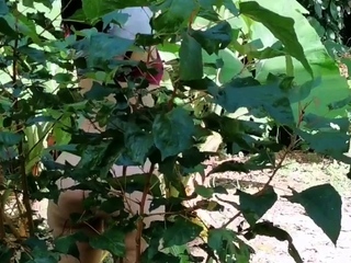 Amazing huge ass Latin amateur webcam