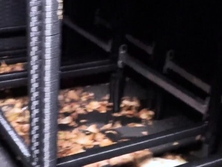 Blonde glasses college teen xxx Hide And Go Freak