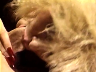 Busty amateur blonde gf hardcore sex with her bf