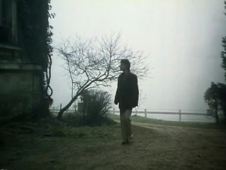 Dirty brunette milf sucks and rides big bazooka in group sex