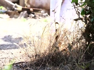 Femdom cock sucking brits wank and suck