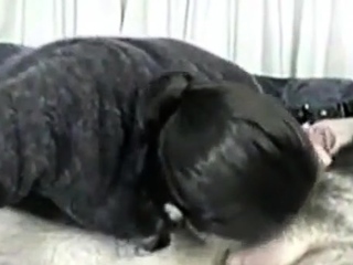 hausgemachte arabisches muslimisches gypten, die Trkei Pak