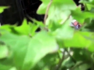Public Bar – flashing under table