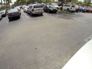 Romantic blonde beauty Nesti and mate in this video