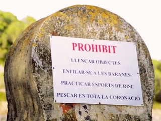 Uninhibited Russian brunette Verona Sky gets fucked outside