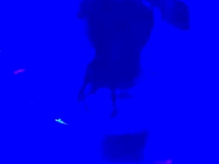 Amateur wild chick solo masturbation