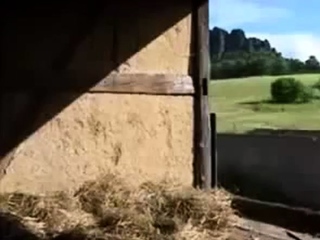 Deutsches Milchmdchen