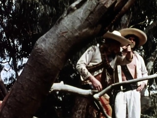 Gorgeous brunette babe fucked hardcore in the bathroom