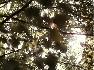 Hairy pussy was licked in this nice vintage porn