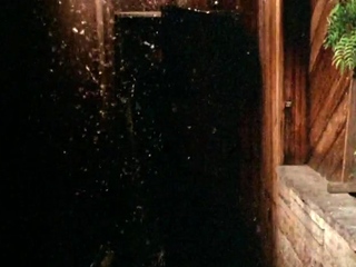 Hardcore vintage anal sex outdoors