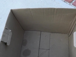 Naughty teens sucking black cock