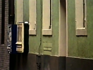 Brunette and blonde slut shares big cock hardcore