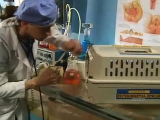 Ftv amateur brunette toying pussy and having strong orgasm