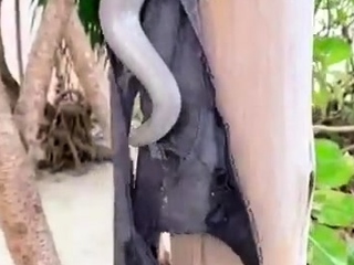 Amanda Cerny Nude Shower Video Leaked