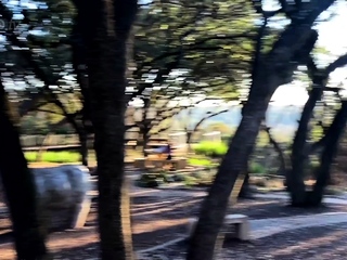 Amateur redhead masturbates then gives a blowjob