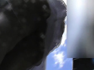 Beautiful young chick wears a skirt and a hidden cam films