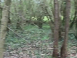 elle s offre a un promeneur