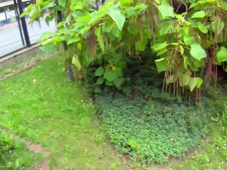 Cheating gal cuckolds her guy and fucks with one more one