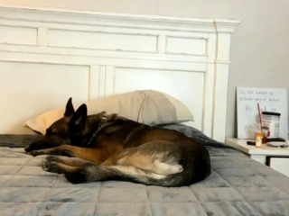 Brunette Amateur Webcam Teen Exposed