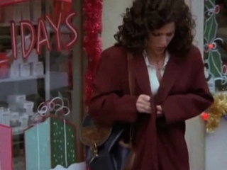 The Ladies of Seinfeld