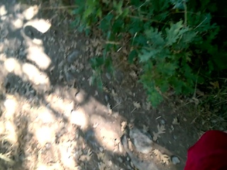 Amateur MILF blowjob cumshot