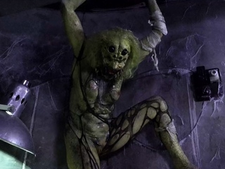 HORRORPORN – Feminine spider