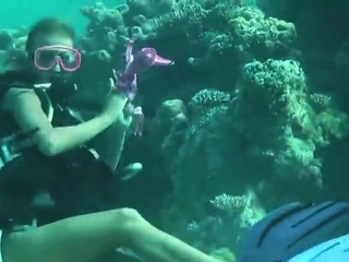 close-up, Gaping, smooth, bigass, cuties, Masturbation