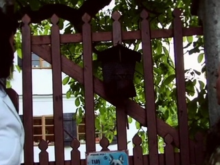 Fang gets sucked with passion by enticing gal Celine Noiret