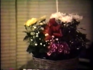 Group Sex and Hardcore Fucking Parties