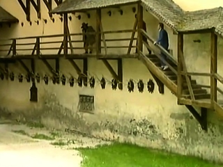 Hot amateur close up Doggy style HD video