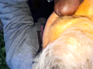 My wife and I fucked by black cock