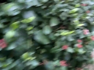 Public Striptease and Blowjob in a city Park