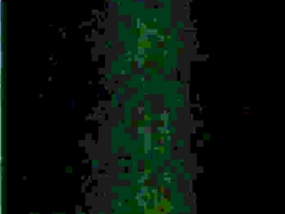 Blonde euro lesbians lick pussy like ice cream